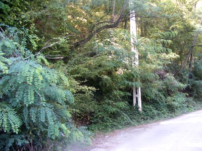Mehedinți, zona golfului Bahna (28)