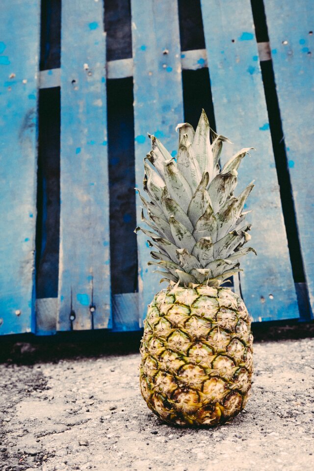 Golden grunge pineapple