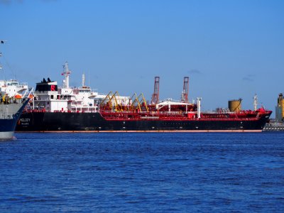 Melody - IMO 9476135, Amerikahaven, Port of Amsterdam