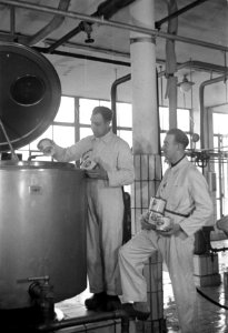 Melkfabriek Holland, Bestanddeelnr 901-4743