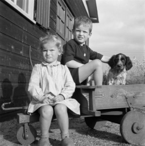 Meisje en Jongen met hondje en bolderkar, Bestanddeelnr 900-9826
