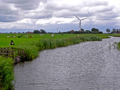 Melkvaart tussen Wons en Makkum