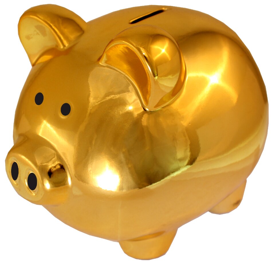Money pig save money