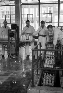 Melkfabriek Holland, Bestanddeelnr 901-4734