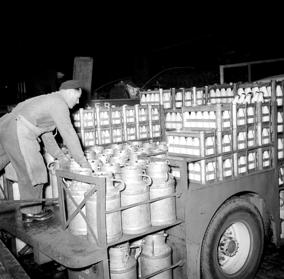 Melkfabriek man tilt de melkbussen op een vrachtwagen, Bestanddeelnr 252-9456