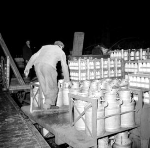 Melkfabriek man verplaatst de melkbussen, Bestanddeelnr 252-9454