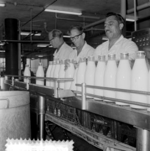 Melkfleskratten van synthetisch materiaal, reportage melkfabriek in Rotterdam, Bestanddeelnr 916-7550