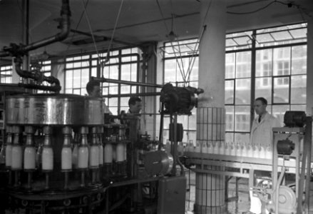 Melkfabriek Holland, Bestanddeelnr 901-4736