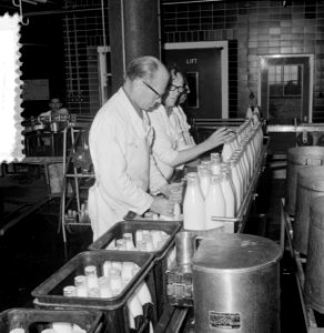 Melkfleskratten van synthetisch materiaal, reportage melkfabriek in Rotterdam, Bestanddeelnr 916-7553