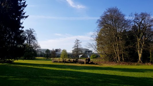 Meise-Plantentuin Meise (24)