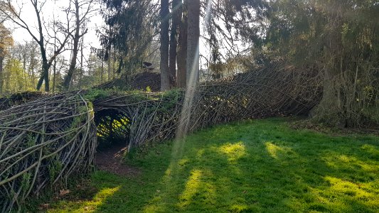 Meise-Plantentuin Meise (28)