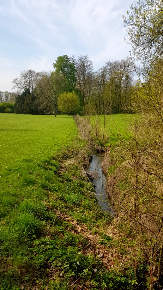 Meise-Amelvonnebeek (4)