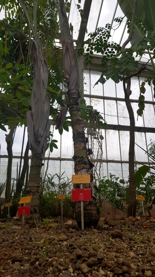 Meise-Plantentuin Meise (37)