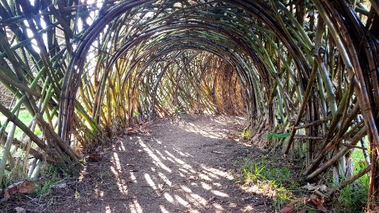 Meise-Plantentuin Meise (33)
