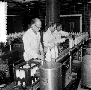 Melkfleskratten van synthetisch materiaal, reportage melkfabriek in Rotterdam, Bestanddeelnr 916-7552