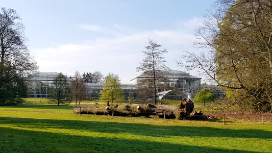 Meise-Plantentuin Meise (25)