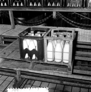Melkfleskratten van synthetisch materiaal, reportage melkfabriek in Rotterdam, Bestanddeelnr 916-7554