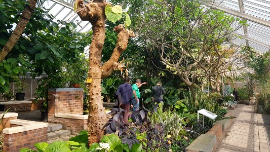 Meise-Plantentuin Meise (40)