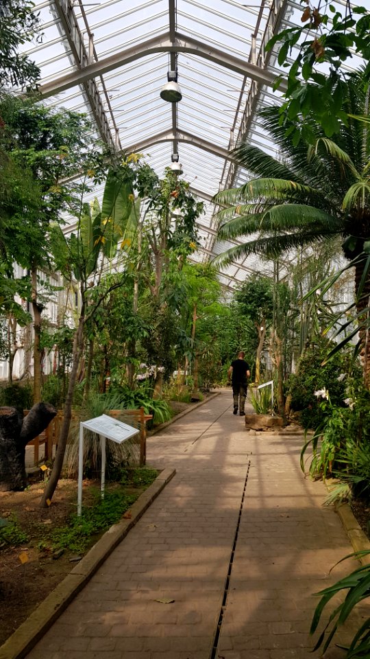Meise-Plantentuin Meise (38)