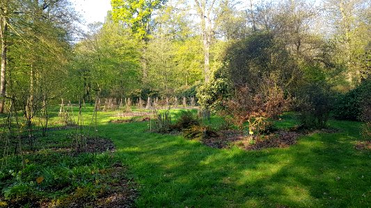Meise-Plantentuin Meise (10)