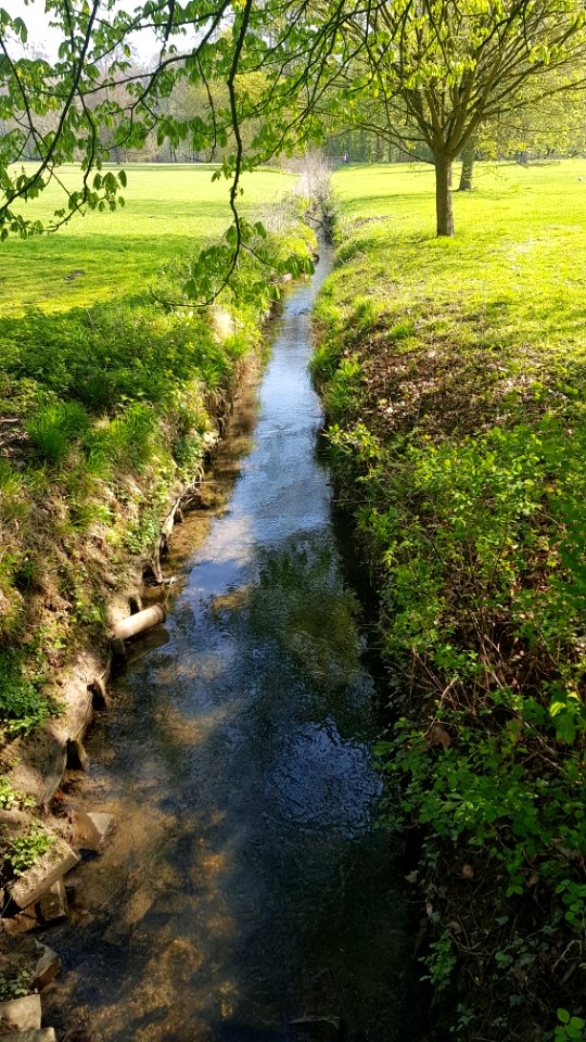 Meise-Amelvonnebeek (1)