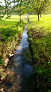 Meise-Amelvonnebeek (1)