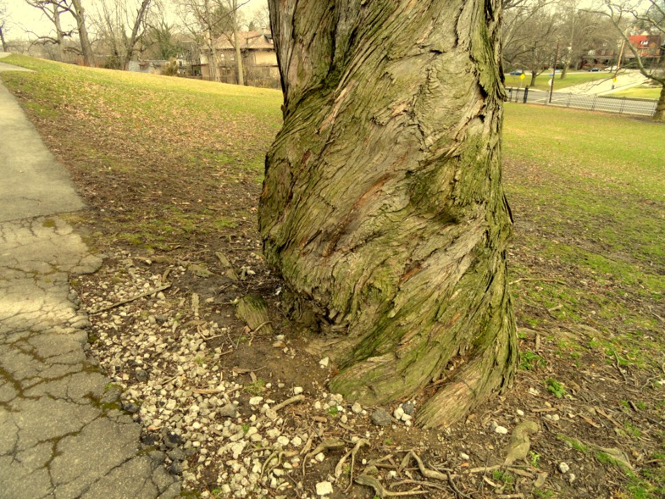 Mellon Park - Pittsburgh, PA - DSC05027-001