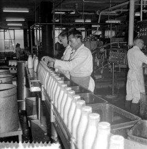 Melkfleskratten van synthetisch materiaal, reportage melkfabriek in Rotterdam, Bestanddeelnr 916-7549