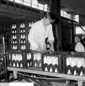Melkfleskratten van synthetisch materiaal, reportage melkfabriek in Rotterdam, Bestanddeelnr 916-7557