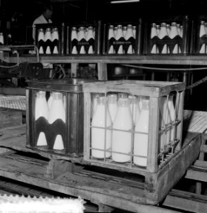 Melkfleskratten van synthetisch materiaal, reportage melkfabriek in Rotterdam, Bestanddeelnr 916-7556