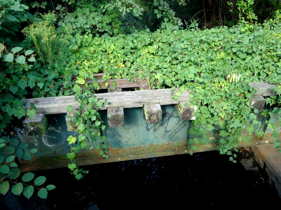 Meisel Ave Park Union County overgrown train trestle