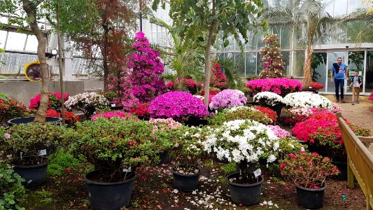 Meise-Plantentuin Meise (41)