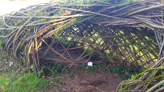 Meise-Plantentuin Meise (34)