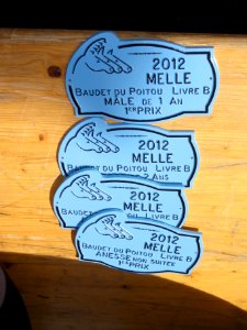 Melle (Deux-Sèvres) Concours baudets du Poitou 2012, 14 juin (9)