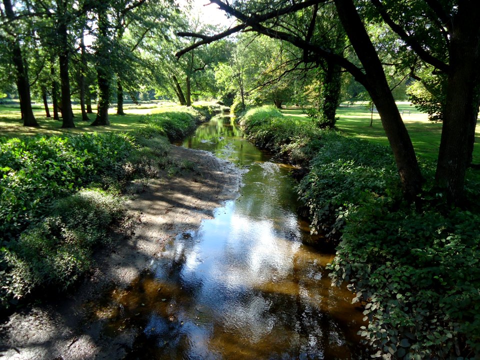 Meisel Ave Park Union County creek