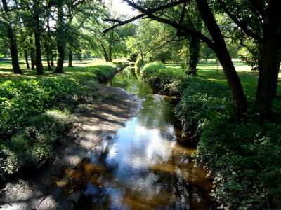 Meisel Ave Park Union County creek