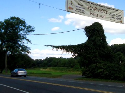 Meisel Ave Park Union County vines pointing to car