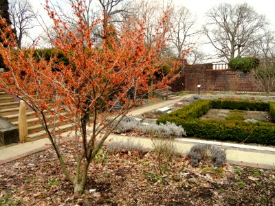 Mellon Park - Pittsburgh, PA - DSC05025-001