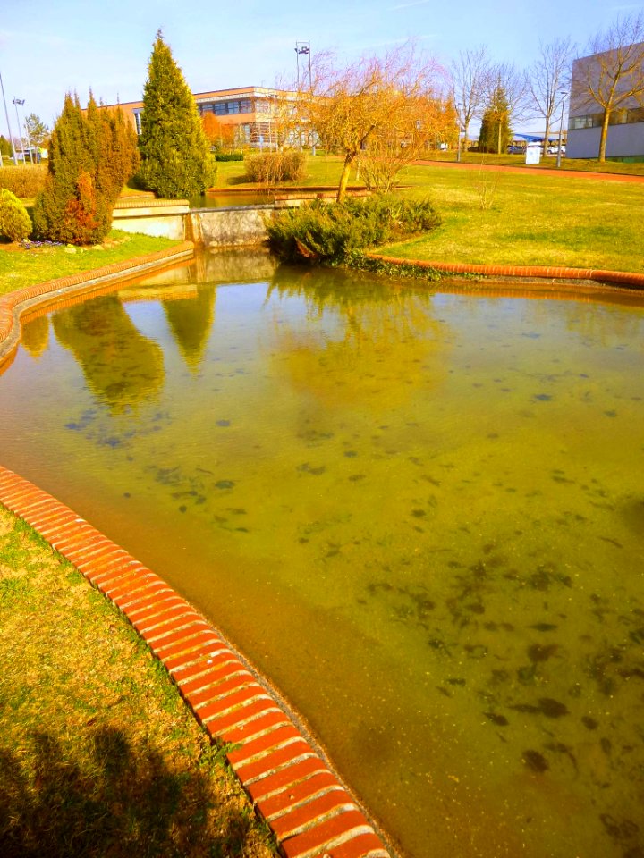 Miñano Menor - Parque Tecnológico de Álava 20