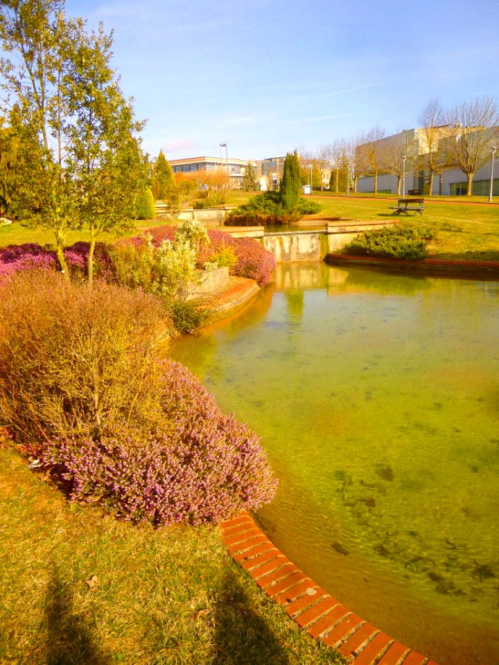 Miñano Menor - Parque Tecnológico de Álava 21