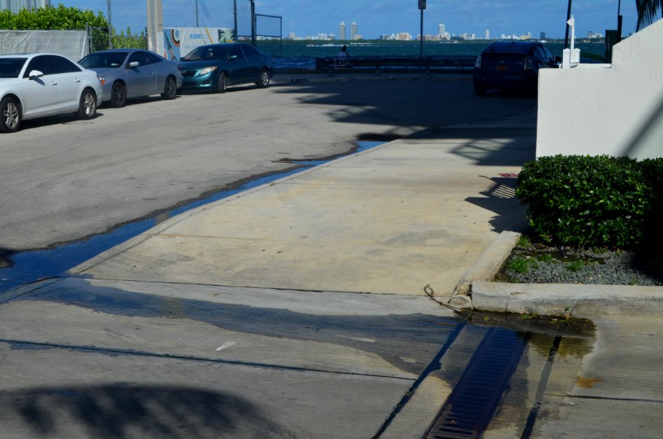 Miami high tide low spots edgewater 7