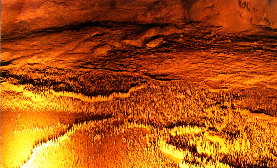 Mialet (Gard) grotte de Trabuc, dite grotte des cent mille soldats