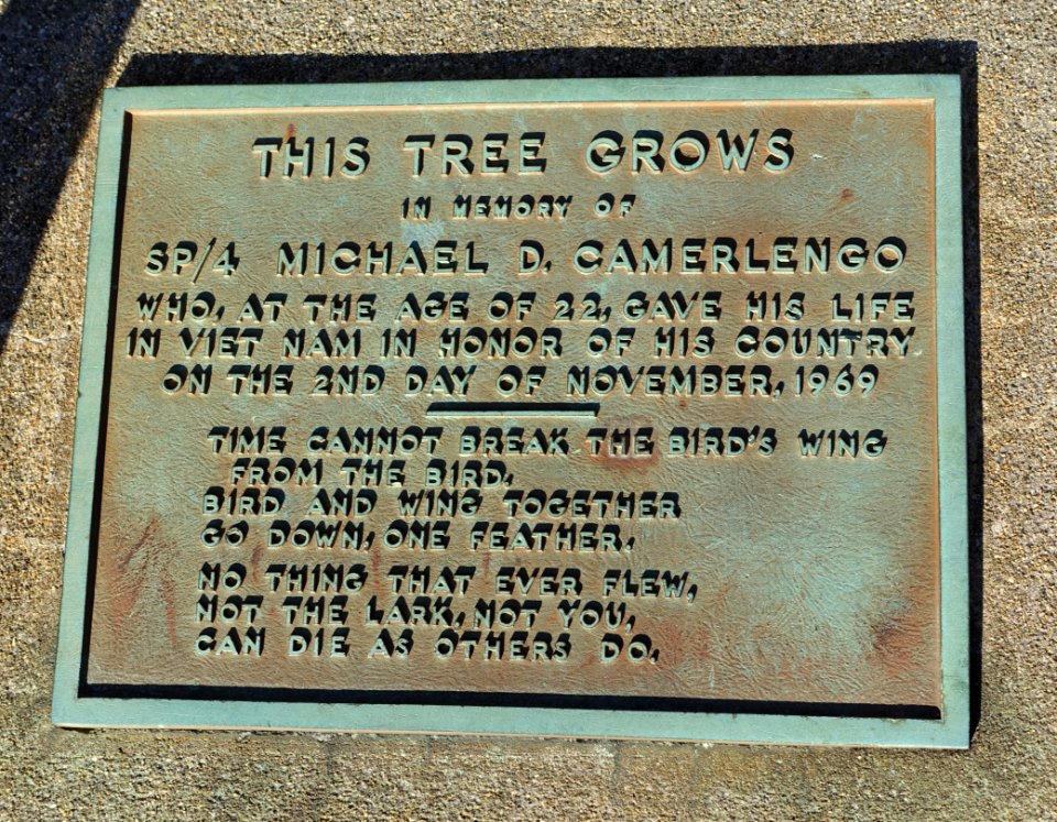 Michael D. Camerlengo Memorial - Arlington High School - Arlington, MA - DSC03470