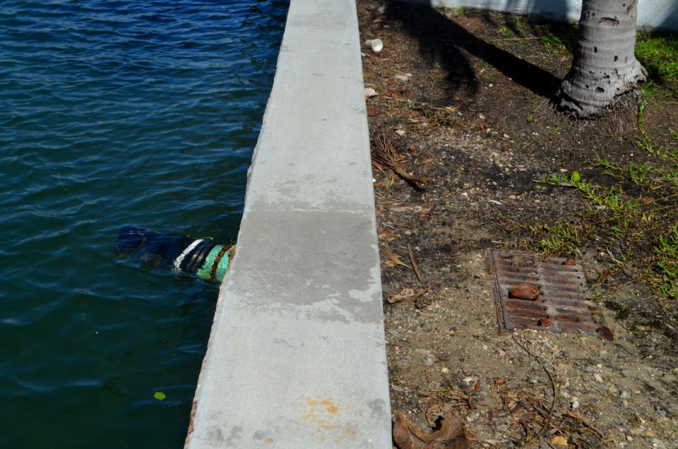Miami high tide low spots 5