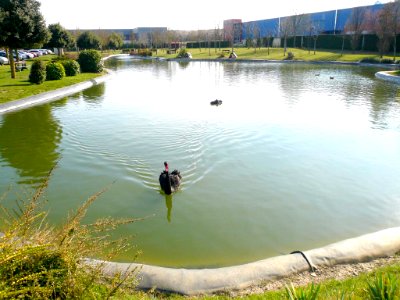 Miñano Menor - Parque Tecnológico de Álava 06