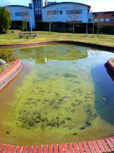 Miñano Menor - Parque Tecnológico de Álava 02