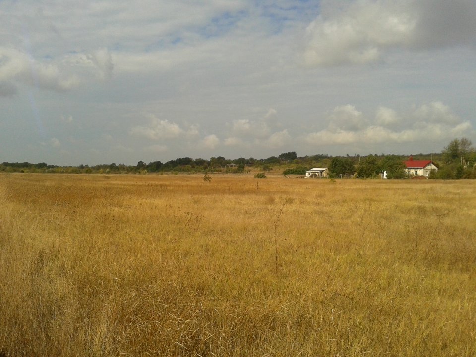 Mezhgornoe 7
