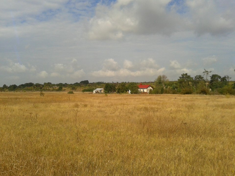 Mezhgornoe 6