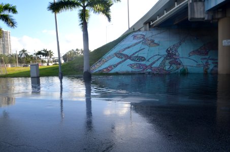 Miami proper tidal flooding 03