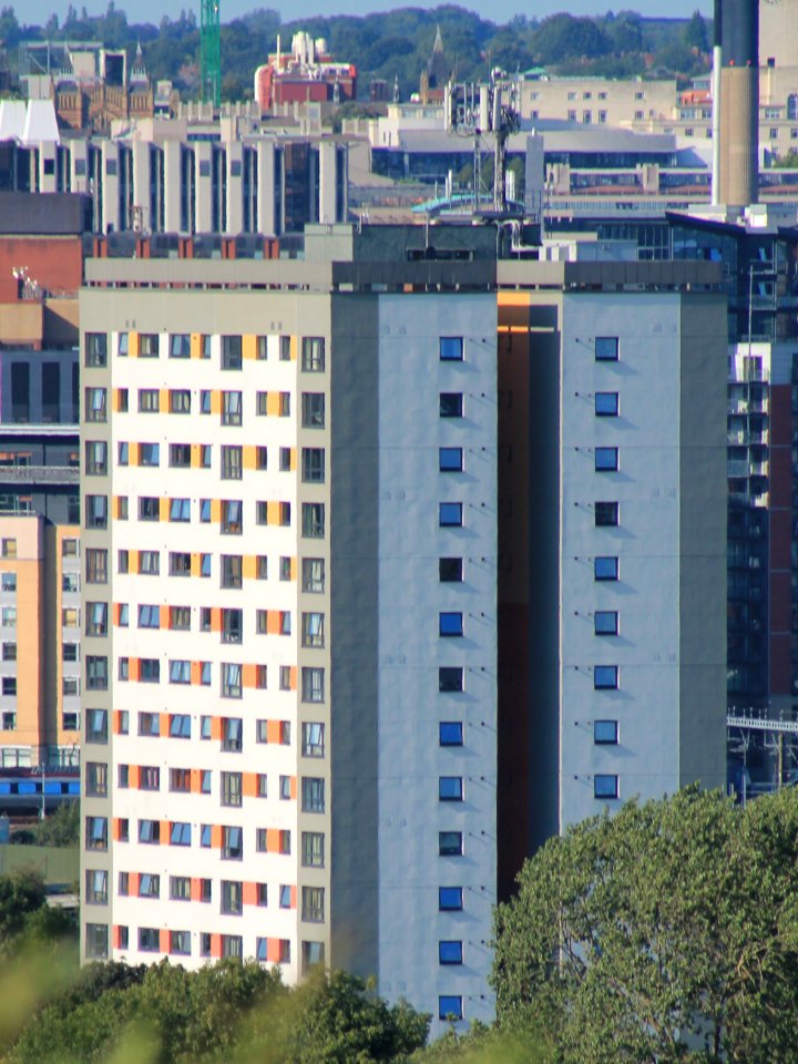 Meynell Heights 2019-08-23 (7)